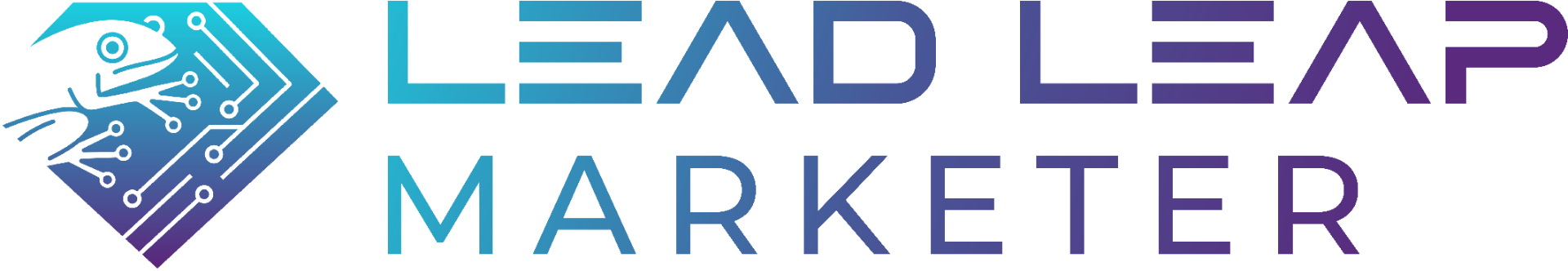 Lead Leap Marketer logo — JV partnerships and webinar automation high ticket event lead generation